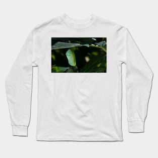 Monarch Chrysalis 6 Long Sleeve T-Shirt